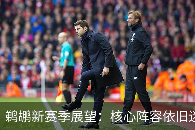 鹈鹕新赛季展望：核心阵容依旧迷雾重重